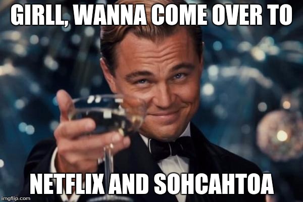 Leonardo Dicaprio Cheers Meme | GIRLL, WANNA COME OVER TO; NETFLIX AND SOHCAHTOA | image tagged in memes,leonardo dicaprio cheers | made w/ Imgflip meme maker