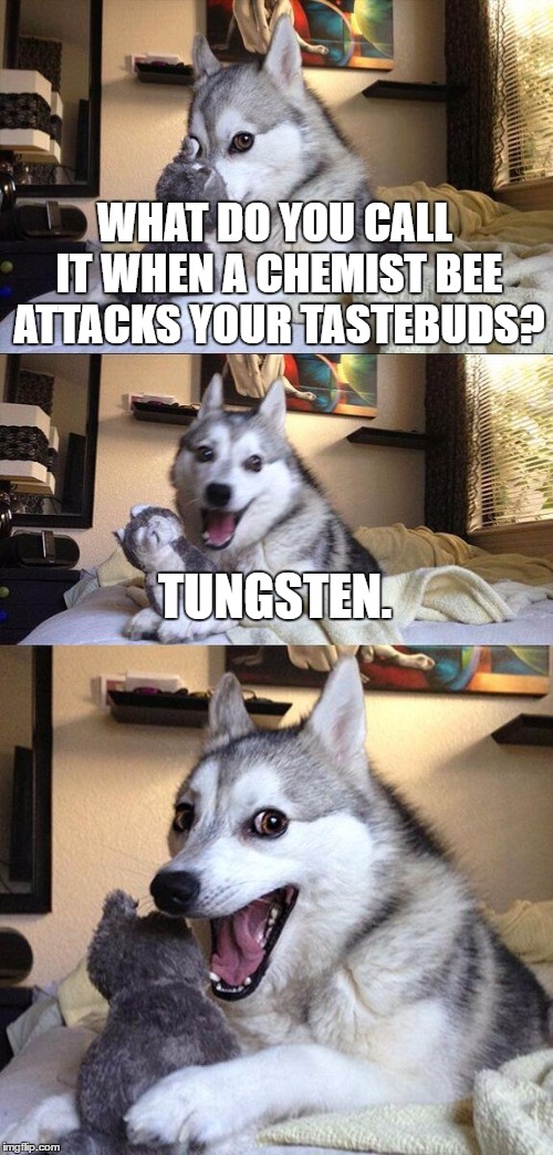 (tongue sting) | WHAT DO YOU CALL IT WHEN A CHEMIST BEE ATTACKS YOUR TASTEBUDS? TUNGSTEN. | image tagged in memes,bad pun dog | made w/ Imgflip meme maker