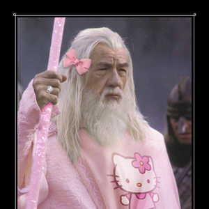 High Quality Gandalf in Pink Blank Meme Template