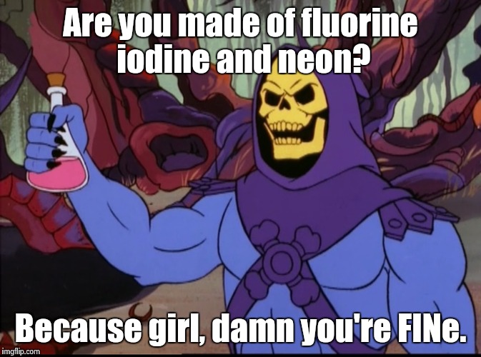 Girl, you fine | Are you made of fluorine iodine and neon? Because girl, damn you're FINe. | image tagged in skeletor,science,funny,memes | made w/ Imgflip meme maker