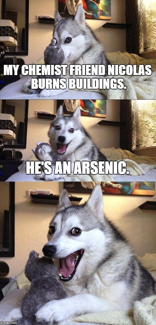 (Arson Nic) | MY CHEMIST FRIEND NICOLAS BURNS BUILDINGS. HE'S AN ARSENIC. | image tagged in memes,bad pun dog | made w/ Imgflip meme maker