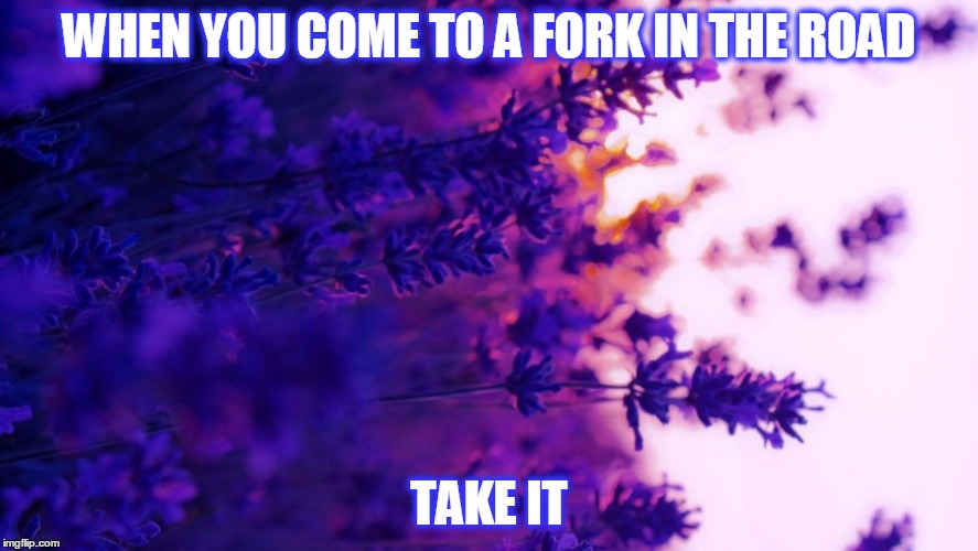 WHEN YOU COME TO A FORK IN THE ROAD; TAKE IT | image tagged in life,wisdom,wise words | made w/ Imgflip meme maker