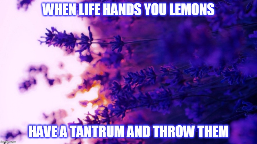 WHEN LIFE HANDS YOU LEMONS; HAVE A TANTRUM AND THROW THEM | image tagged in lemons,tantrum,funny memes | made w/ Imgflip meme maker