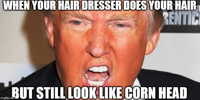 Hair Desser does something wrong | WHEN YOUR HAIR DRESSER DOES YOUR HAIR; BUT STILL LOOK LIKE CORN HEAD | image tagged in donald trump | made w/ Imgflip meme maker