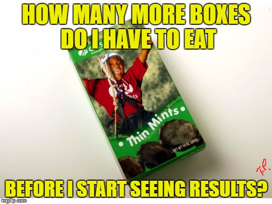 thin mints |  HOW MANY MORE BOXES DO I HAVE TO EAT; BEFORE I START SEEING RESULTS? | image tagged in original meme,funny,girl scout cookies,girl scouts,joke,funny meme | made w/ Imgflip meme maker