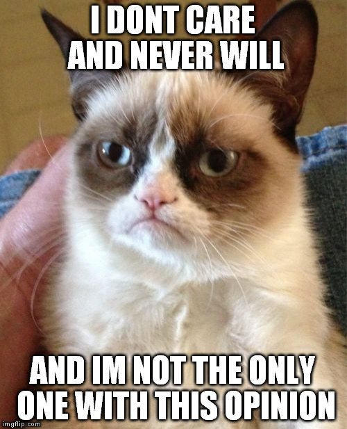 Grumpy Cat Meme | I DONT CARE AND NEVER WILL AND IM NOT THE ONLY ONE WITH THIS OPINION | image tagged in memes,grumpy cat | made w/ Imgflip meme maker
