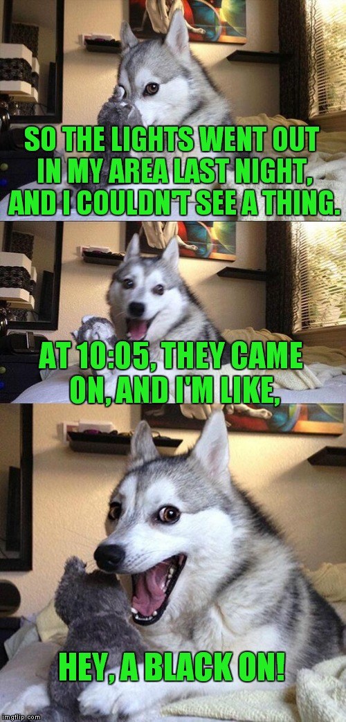 Bad Pun Dog | SO THE LIGHTS WENT OUT IN MY AREA LAST NIGHT, AND I COULDN'T SEE A THING. AT 10:05, THEY CAME ON, AND I'M LIKE, HEY, A BLACK ON! | image tagged in memes,bad pun dog | made w/ Imgflip meme maker