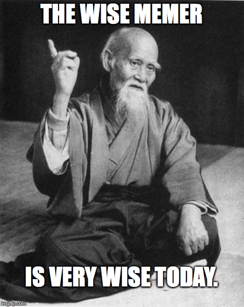 THE WISE MEMER IS VERY WISE TODAY. | made w/ Imgflip meme maker