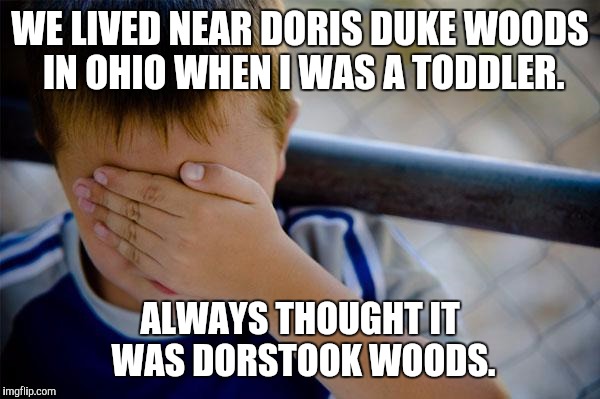 confession kid | WE LIVED NEAR DORIS DUKE WOODS IN OHIO WHEN I WAS A TODDLER. ALWAYS THOUGHT IT WAS DORSTOOK WOODS. | image tagged in memes,confession kid | made w/ Imgflip meme maker