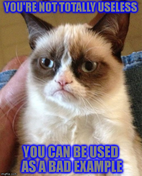 Grumpy Cat | YOU'RE NOT TOTALLY USELESS; YOU CAN BE USED AS A BAD EXAMPLE | image tagged in memes,grumpy cat | made w/ Imgflip meme maker