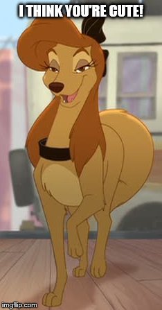 I Think You're Cute! | I THINK YOU'RE CUTE! | image tagged in dixie flirty look,memes,disney,the fox and the hound 2,reba mcentire,dog | made w/ Imgflip meme maker