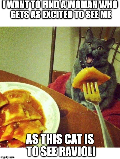 Cat Loves Ravioli | I WANT TO FIND A WOMAN WHO GETS AS EXCITED TO SEE ME; AS THIS CAT IS TO SEE RAVIOLI | image tagged in cat loves ravioli | made w/ Imgflip meme maker