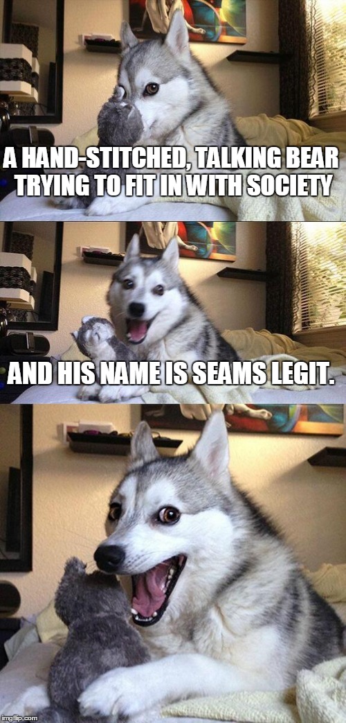 Bad Pun Dog | A HAND-STITCHED, TALKING BEAR TRYING TO FIT IN WITH SOCIETY; AND HIS NAME IS SEAMS LEGIT. | image tagged in memes,bad pun dog | made w/ Imgflip meme maker