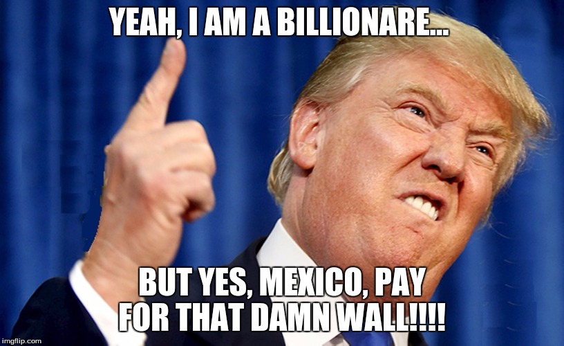 YEAH, I AM A BILLIONARE... BUT YES, MEXICO, PAY FOR THAT DAMN WALL!!!! | image tagged in teump i hate myself | made w/ Imgflip meme maker