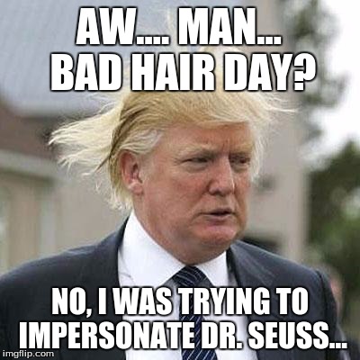 Donald Trump | AW.... MAN... BAD HAIR DAY? NO, I WAS TRYING TO IMPERSONATE DR. SEUSS... | image tagged in donald trump,memes | made w/ Imgflip meme maker