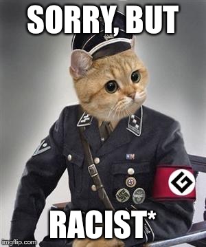 SORRY, BUT RACIST* | made w/ Imgflip meme maker