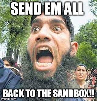 angry muslim 2 sodomy | SEND EM ALL; BACK TO THE SANDBOX!! | image tagged in angry muslim 2 sodomy,back  sandbox | made w/ Imgflip meme maker