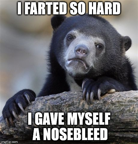 Confession Bear | I FARTED SO HARD; I GAVE MYSELF A NOSEBLEED | image tagged in memes,confession bear | made w/ Imgflip meme maker