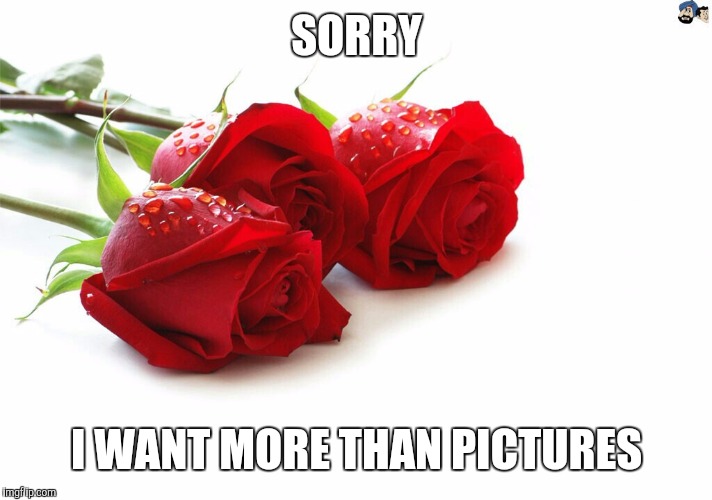 SORRY; I WANT MORE THAN PICTURES | image tagged in meetme,roses,more | made w/ Imgflip meme maker