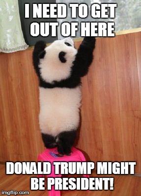 I NEED TO GET OUT OF HERE; DONALD TRUMP MIGHT BE PRESIDENT! | image tagged in oh noez | made w/ Imgflip meme maker