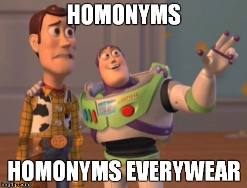 X, X Everywhere Meme | HOMONYMS HOMONYMS EVERYWEAR | image tagged in memes,x x everywhere | made w/ Imgflip meme maker