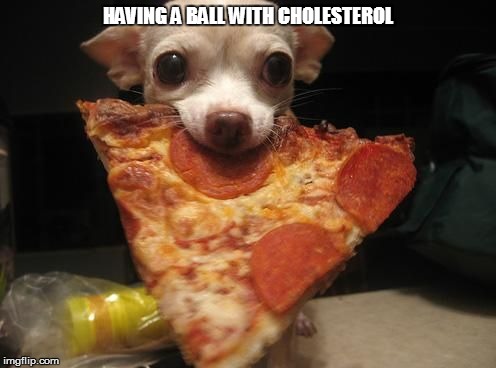 fitness |  HAVING A BALL WITH CHOLESTEROL | image tagged in fitness | made w/ Imgflip meme maker