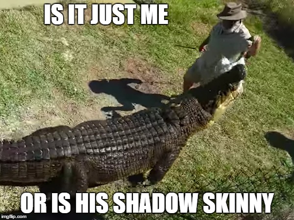 IS IT JUST ME; OR IS HIS SHADOW SKINNY | image tagged in gator | made w/ Imgflip meme maker