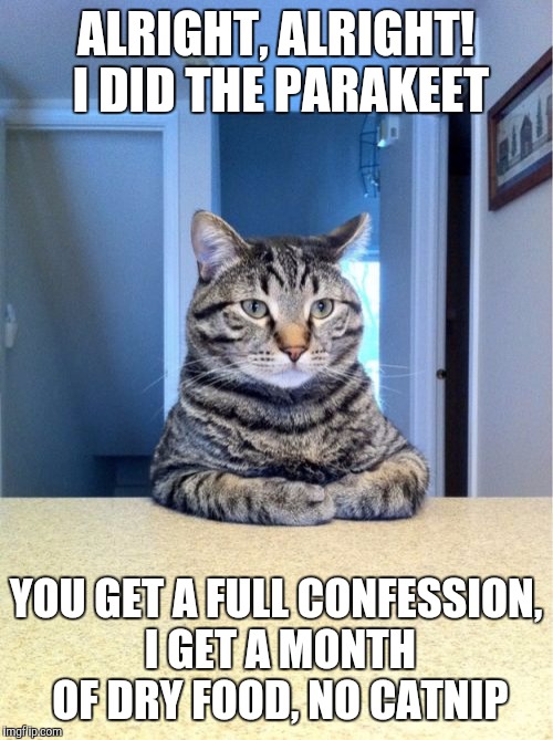 Take A Seat Cat | ALRIGHT, ALRIGHT! I DID THE PARAKEET; YOU GET A FULL CONFESSION, I GET A MONTH OF DRY FOOD, NO CATNIP | image tagged in memes,take a seat cat | made w/ Imgflip meme maker