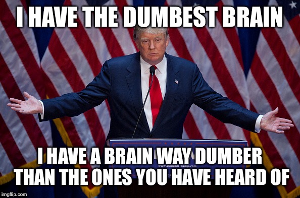 Donald Trump | I HAVE THE DUMBEST BRAIN; I HAVE A BRAIN WAY DUMBER THAN THE ONES YOU HAVE HEARD OF | image tagged in donald trump | made w/ Imgflip meme maker