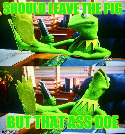 Kermit damn | SHOULD LEAVE THE PIG; BUT THAT ASS DOE | image tagged in kermit damn | made w/ Imgflip meme maker