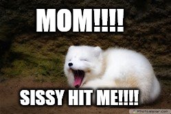 MOM!!!! SISSY HIT ME!!!! | image tagged in laughingfox | made w/ Imgflip meme maker