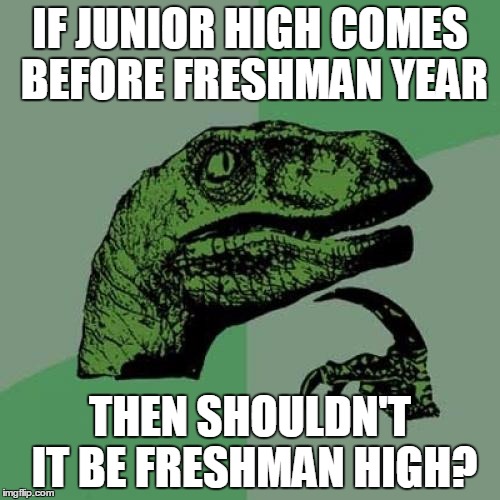 Philosoraptor Meme | IF JUNIOR HIGH COMES BEFORE FRESHMAN YEAR; THEN SHOULDN'T IT BE FRESHMAN HIGH? | image tagged in memes,philosoraptor | made w/ Imgflip meme maker