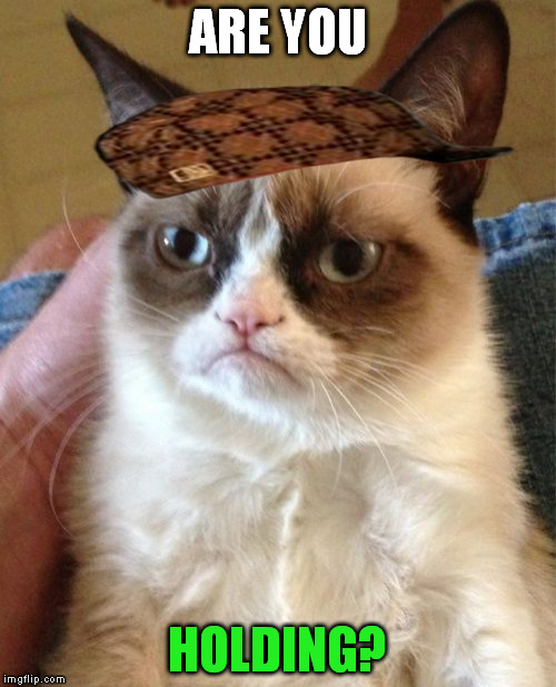 Grumpy Cat Meme | ARE YOU HOLDING? | image tagged in memes,grumpy cat,scumbag | made w/ Imgflip meme maker