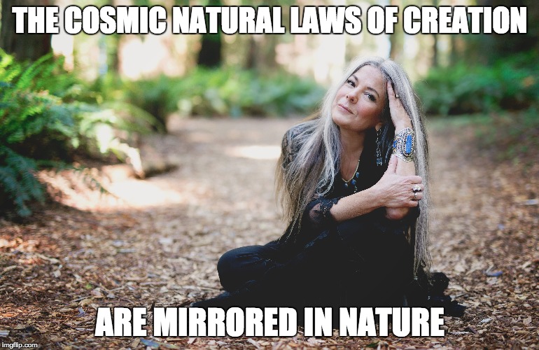 Natural Laws Of Creation | THE COSMIC NATURAL LAWS OF CREATION; ARE MIRRORED IN NATURE | image tagged in wind hughes,the feminine shaman,shamanism | made w/ Imgflip meme maker