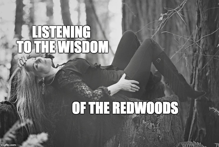 LISTENING TO THE WISDOM; OF THE REDWOODS | image tagged in wind hughes,shamanism,feminine shaman | made w/ Imgflip meme maker