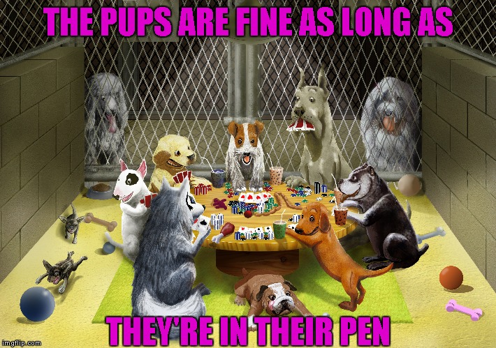 THE PUPS ARE FINE AS LONG AS THEY'RE IN THEIR PEN | made w/ Imgflip meme maker