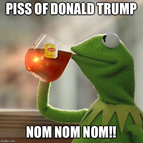 But That's None Of My Business Meme | PISS OF DONALD TRUMP NOM NOM NOM!! | image tagged in memes,but thats none of my business,kermit the frog | made w/ Imgflip meme maker