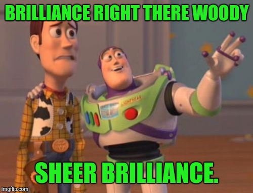 X, X Everywhere Meme | BRILLIANCE RIGHT THERE WOODY SHEER BRILLIANCE. | image tagged in memes,x x everywhere | made w/ Imgflip meme maker