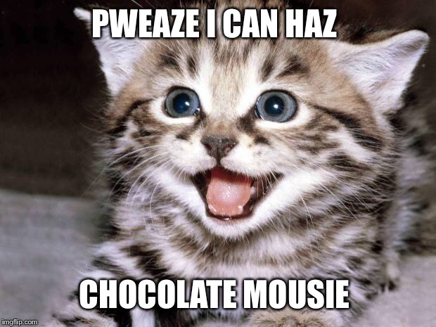 I'm just submitting stuff not to lose my 3 spots.  | PWEAZE I CAN HAZ; CHOCOLATE MOUSIE | image tagged in uber cute cat,hungry,i can,memes,funny,cute | made w/ Imgflip meme maker