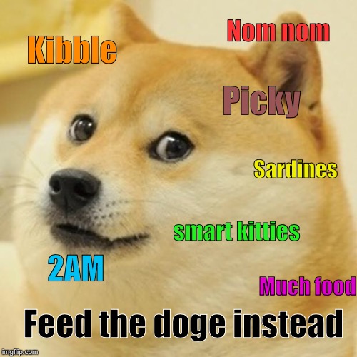 Doge Meme | Kibble Much food Nom nom 2AM smart kitties Picky Sardines Feed the doge instead | image tagged in memes,doge | made w/ Imgflip meme maker