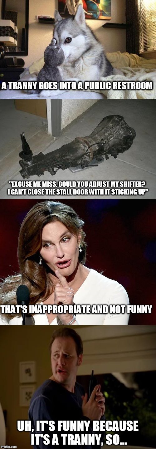 A TRANNY GOES INTO A PUBLIC RESTROOM; "EXCUSE ME MISS, COULD YOU ADJUST MY SHIFTER? I CAN'T CLOSE THE STALL DOOR WITH IT STICKING UP"; THAT'S INAPPROPRIATE AND NOT FUNNY; UH, IT'S FUNNY BECAUSE IT'S A TRANNY, SO... | image tagged in no really,it's a tranny | made w/ Imgflip meme maker