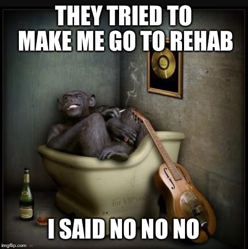 A monkey in tub with a monkey on his back | THEY TRIED TO MAKE ME GO TO REHAB; I SAID NO NO NO | image tagged in memes,funny,chimp,bath,drunk,record | made w/ Imgflip meme maker