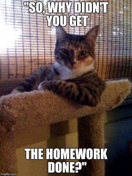 The Most Interesting Cat In The World Meme | "SO, WHY DIDN'T YOU GET; THE HOMEWORK DONE?" | image tagged in memes,the most interesting cat in the world | made w/ Imgflip meme maker