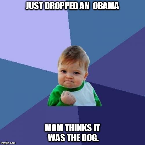 Success Kid | JUST DROPPED AN  OBAMA; MOM THINKS IT WAS THE DOG. | image tagged in memes,success kid,dropped an obama | made w/ Imgflip meme maker