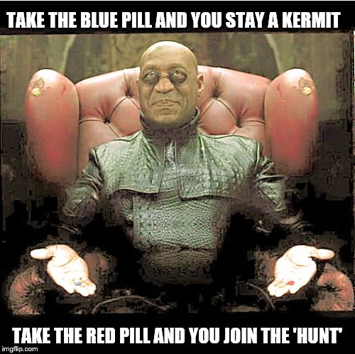 Morpheus offers the choice - you control your own destiny  | TAKE THE BLUE PILL AND YOU STAY A KERMIT; TAKE THE RED PILL AND YOU JOIN THE 'HUNT' | image tagged in matrix morpheus - your choice,memes,kermit the frog,baby godfather,snitch | made w/ Imgflip meme maker