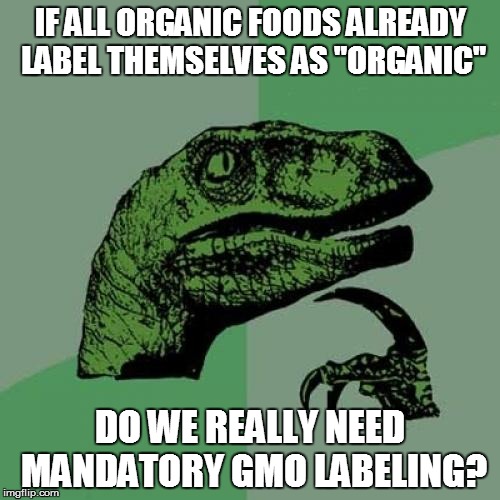 Philosoraptor Meme | IF ALL ORGANIC FOODS ALREADY LABEL THEMSELVES AS "ORGANIC"; DO WE REALLY NEED MANDATORY GMO LABELING? | image tagged in memes,philosoraptor | made w/ Imgflip meme maker