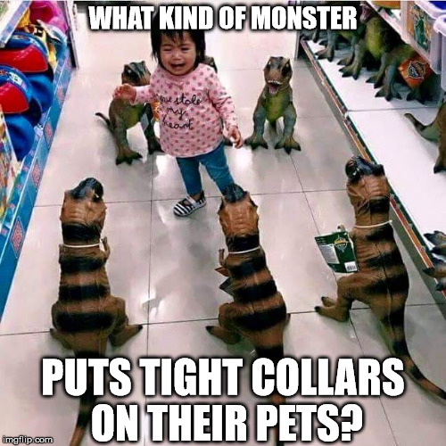WHAT KIND OF MONSTER; PUTS TIGHT COLLARS ON THEIR PETS? | image tagged in scared girl surrounded | made w/ Imgflip meme maker