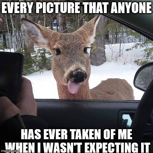Derp Deer |  EVERY PICTURE THAT ANYONE; HAS EVER TAKEN OF ME WHEN I WASN'T EXPECTING IT | image tagged in derp deer | made w/ Imgflip meme maker