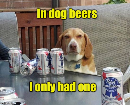 Honest officer, I'm nothing but a hound dog | In dog beers; I only had one | image tagged in meme,dog,beer,dog beers | made w/ Imgflip meme maker