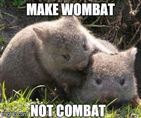 MAKE WOMBAT; NOT COMBAT | image tagged in wombat,memes,funny memes,cute | made w/ Imgflip meme maker